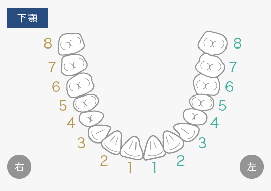 下顎イメージ