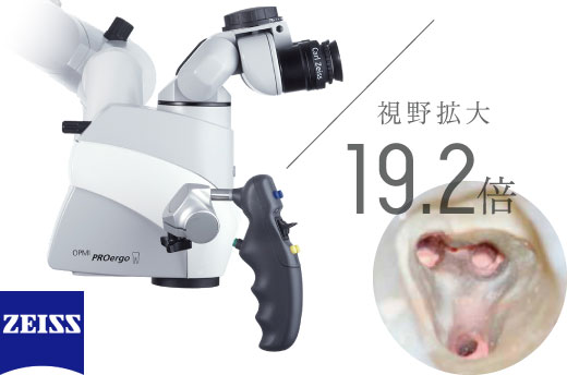 視野拡大19.2倍